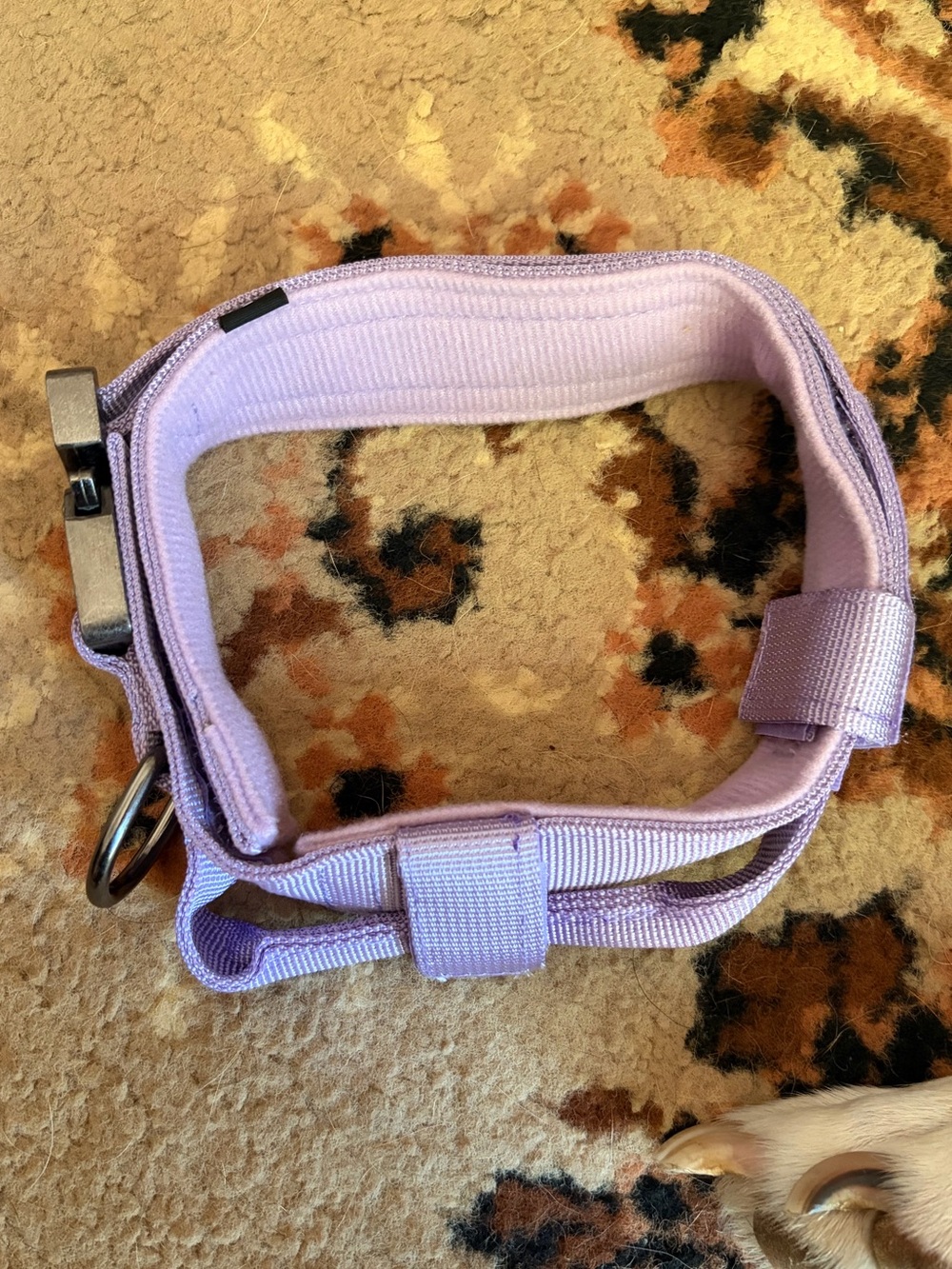Adjustable Lavender Dog Collar with Quick-Release Buckle & Tactical Handle